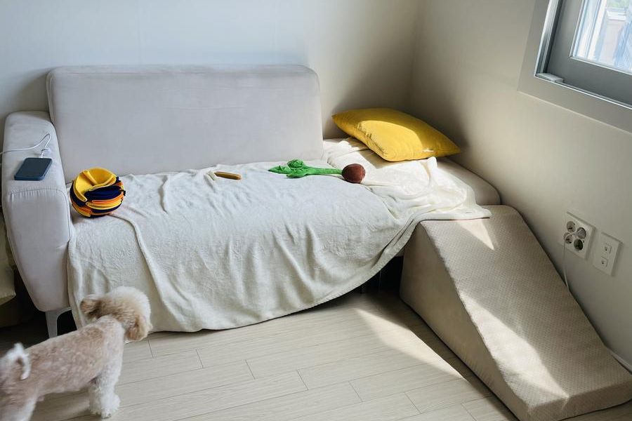 충주 문화동 이사 현장 기록