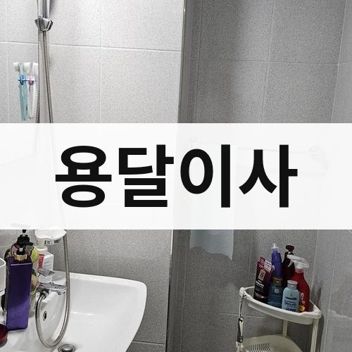 충북 용달이사 포장이사