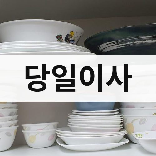 충북 당일이사 포장이사