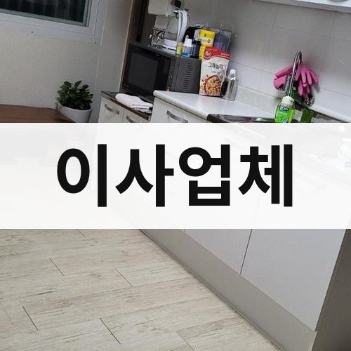충북 이사업체 장거리이사